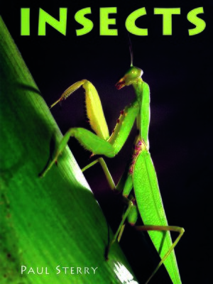 cover image of Insects